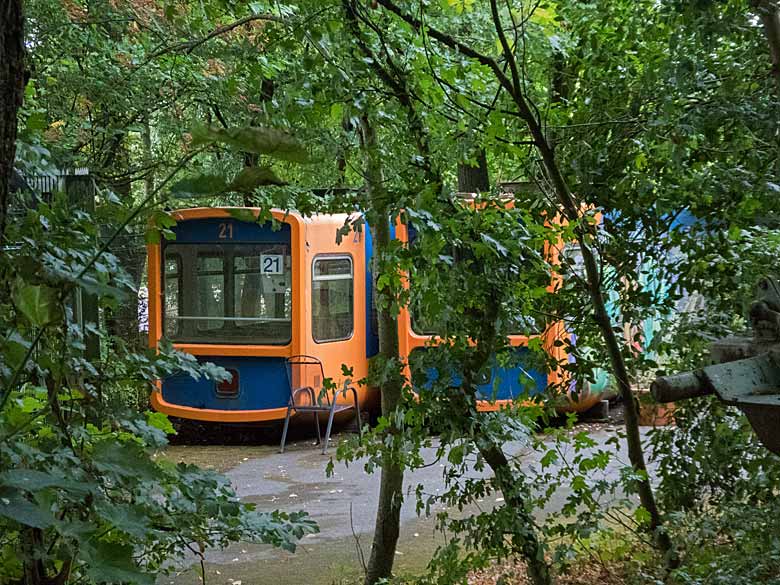 Ausrangierter Schwebebahn-Wagen Nummer 21 am 14. August 2018 im Grünen Zoo Wuppertal
