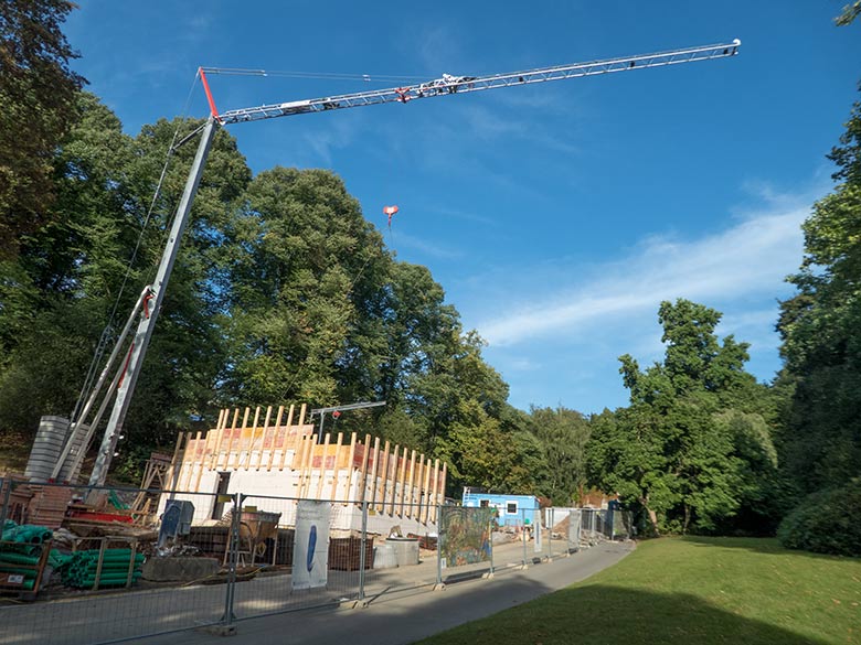 ARALANDIA-Baustelle am 18. August 2018 im Zoologischen Garten Wuppertal