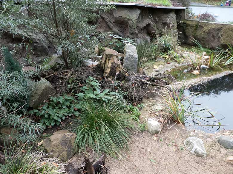 Anlage für Europäische Sumpfschildkröte, Große Teichmuschel und Gelbbauchunke am 27. Oktober 2018 im Grünen Zoo Wuppertal