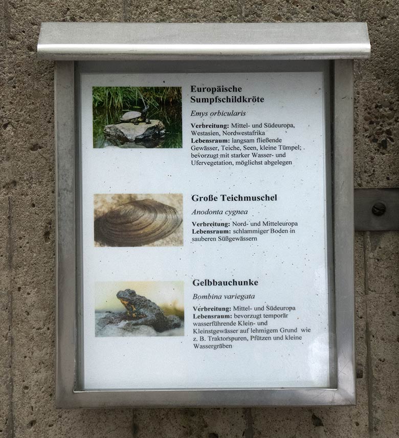 Ausschilderung der Tiere an der Anlage für Europäische Sumpfschildkröte, Große Teichmuschel und Gelbbauchunke am 27. Oktober 2018 im Wuppertaler Zoo