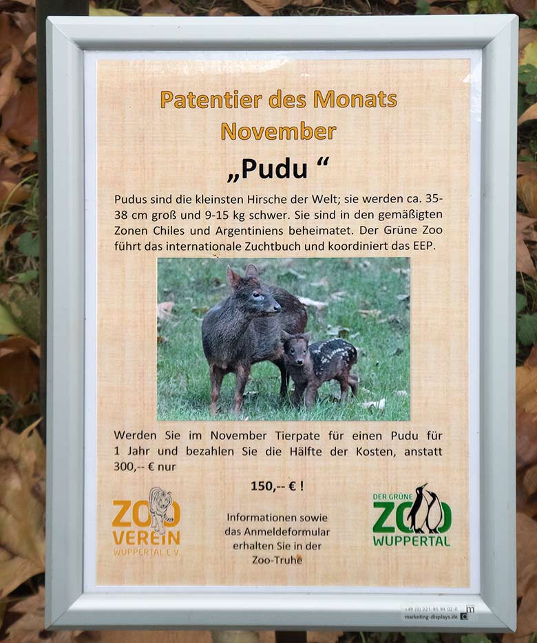 Aushang zum Patentier des Monats November 2018 im Grünen Zoo Wuppertal