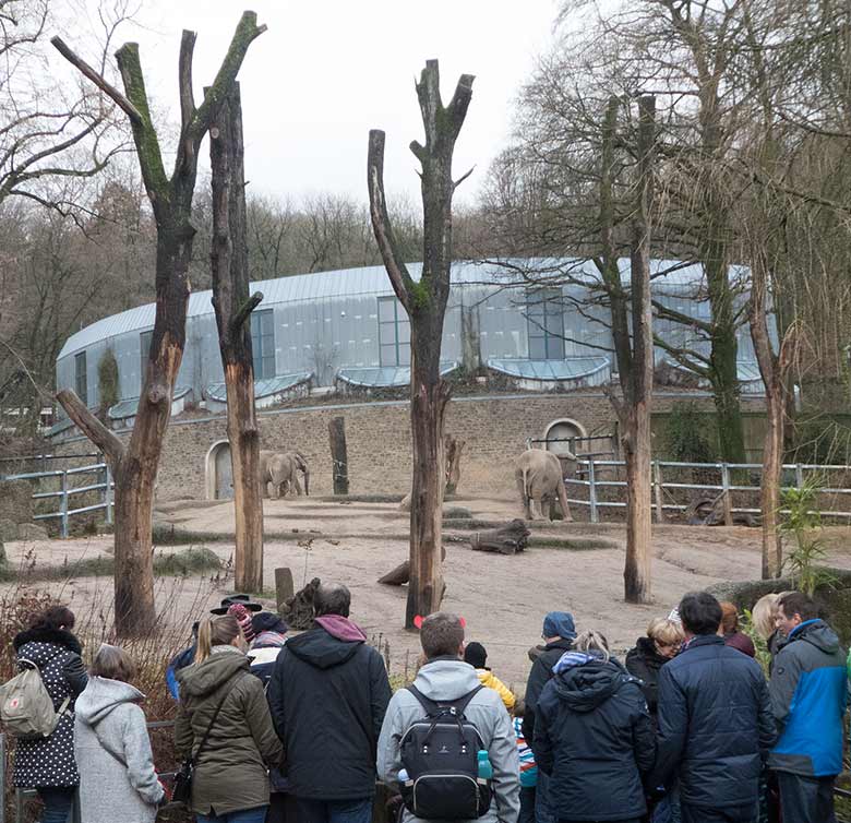 Einige der Teilnehmer/innen an der Führung am 24. Dezember 2018 an der Elefanten-Anlage im Grünen Zoo Wuppertal