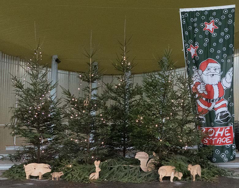 Weihnachtliche Dekoration am 24. Dezember 2018 an der Musikmuschel im Grünen Zoo Wuppertal