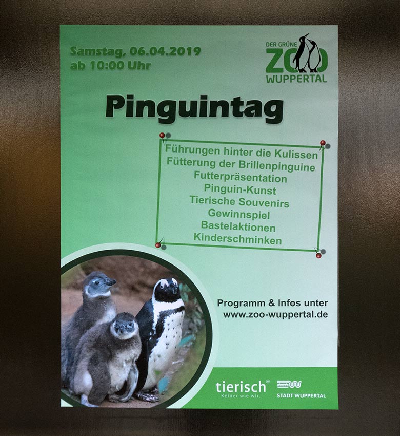 Plakat zum Pinguintag am 6. April 2019 im Grünen Zoo Wuppertal