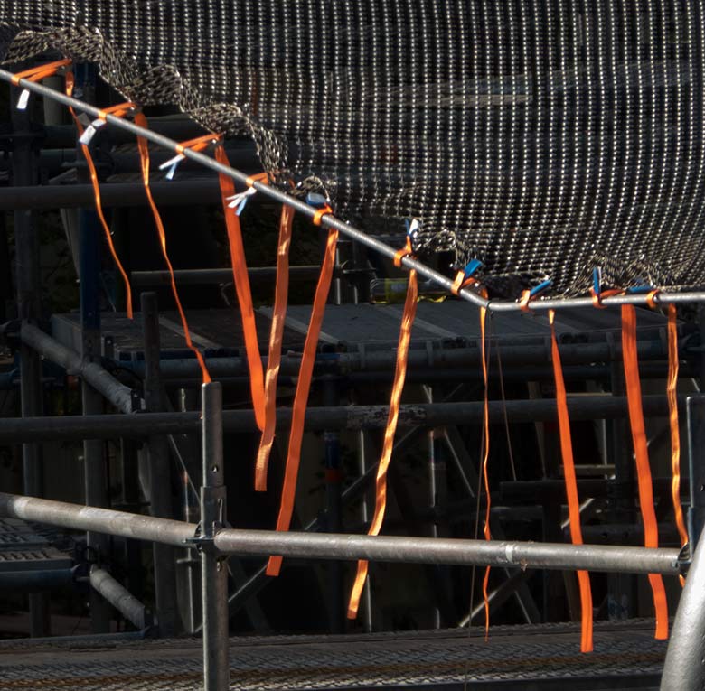 Noch provisorische Befestigung des Draht-Netzes auf der Baustelle der begehbaren Freiflug-Voliere ARALANDIA am 6. September 2019 im Wuppertaler Zoo