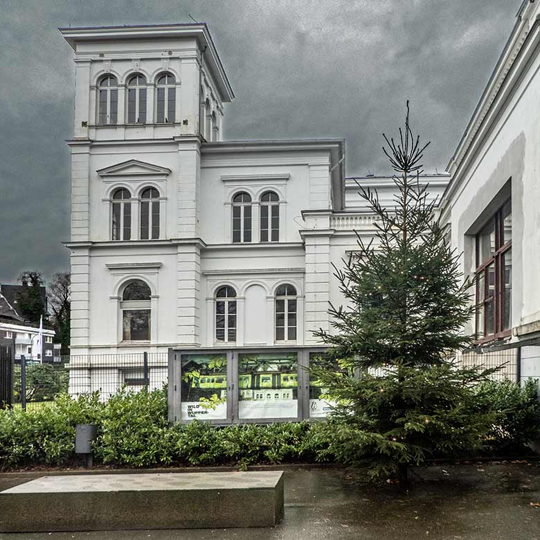 Weihnachtsbaum am. 24. Dezember 2019 im Eingangs-Bereich im Grünen Zoo Wuppertal