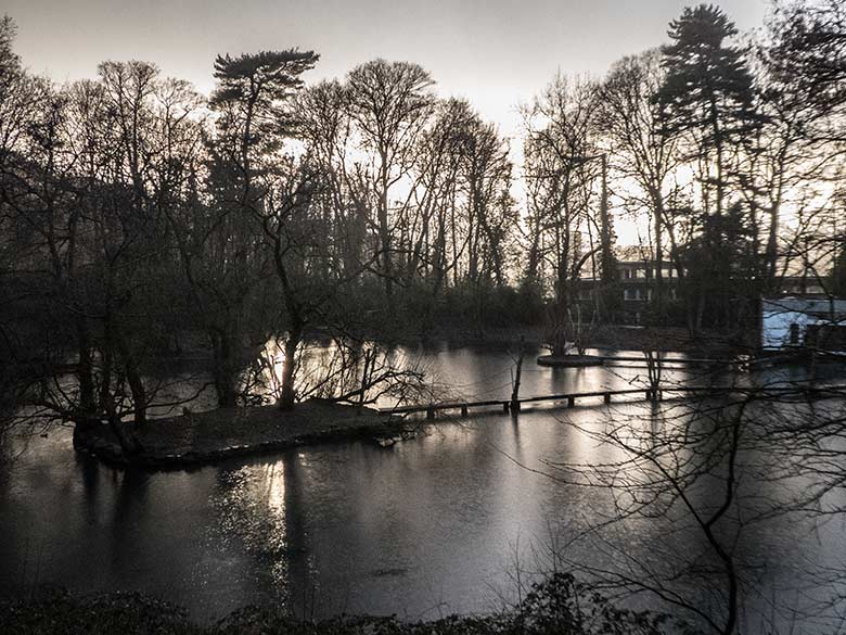 Großer Teich mit Abendstimmung am 29. Januar 2020 im Grünen Zoo Wuppertal