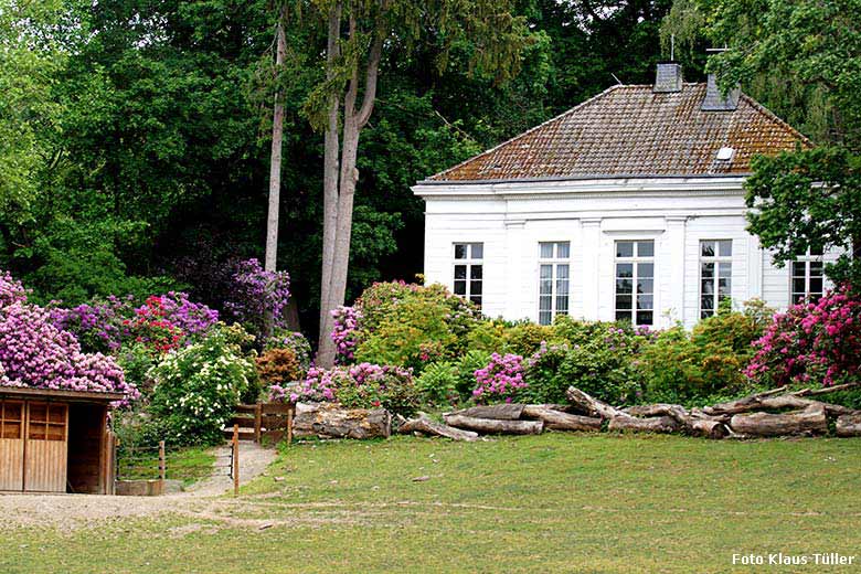 Blühende Sträucher am 25. Mai 2020 vor dem historischen Gebäude der Zoo-Direktion im Grünen Zoo Wuppertal (Foto Klaus Tüller)