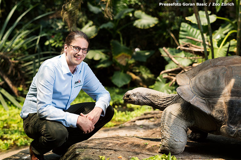 Dr. Severin Dressen mit einer Aldabra-Riesenschildkröte im Masoala Regenwald im Zoo Zürich (Pressefoto Goran Basic - Zoo Zürich)