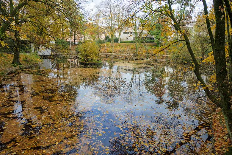 Blick von der Hängebrücke über den Großen Teich Richtung Zoo-Eingang am 26. Oktober 2020 im Wuppertaler Zoo