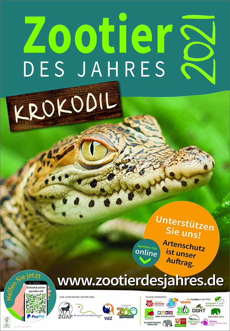 Zootier des Jahres 2021 Krokodil (Pressebild Der Grüne Zoo Wuppertal)