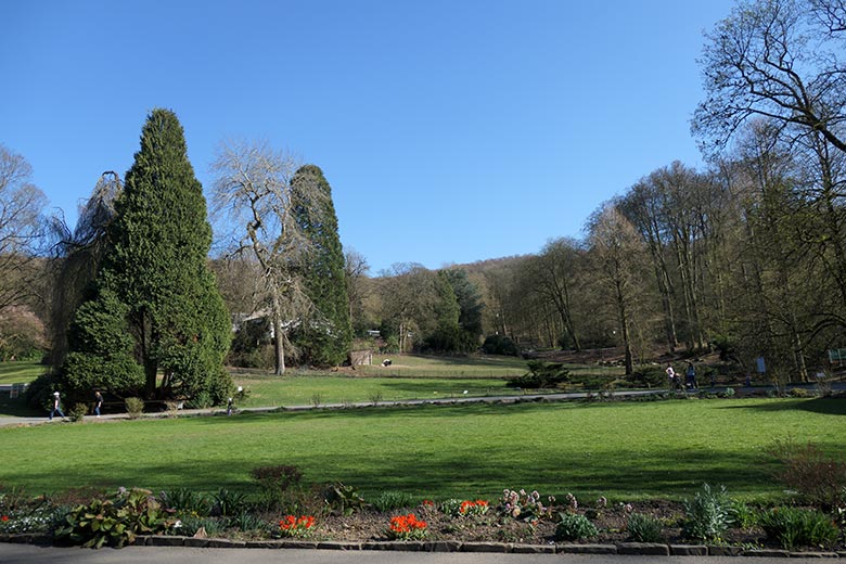 Strahlend blauer Himmel über dem Blumenrondell am 31. März 2021 im Zoologischen Garten Wuppertal