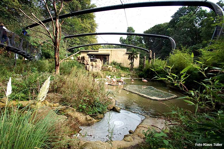 Begehbare Freiflugvoliere Aralandia am 21. September 2021 im Grünen Zoo Wuppertal (Foto Klaus Tüller)