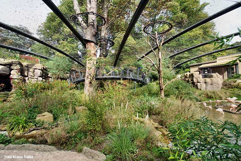 Begehbare Freiflugvoliere Aralandia am 21. September 2021 im Zoologischen Garten Wuppertal (Foto Klaus Tüller)