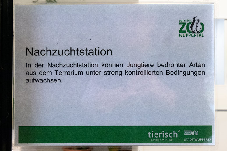 Aushang an der Nachzuchtstation am 13. Dezember 2021 im Wuppertaler Zoo