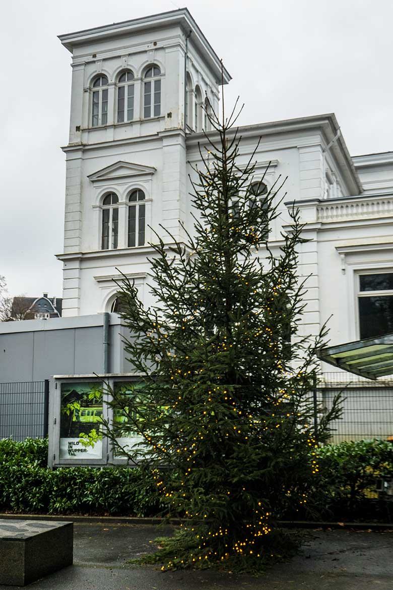 Weihnachtsbaum am 24. Dezember 2021 in der Nähe der Zoo-Eingangs im Grünen Zoo Wuppertal