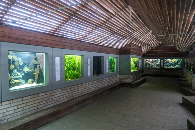 Aquarium am 29. April 2022 im Grünen Zoo Wuppertal