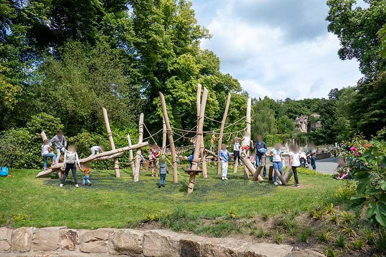 Kletterwiese Aralandia am 6. Juli 2022 im Zoo Wuppertal