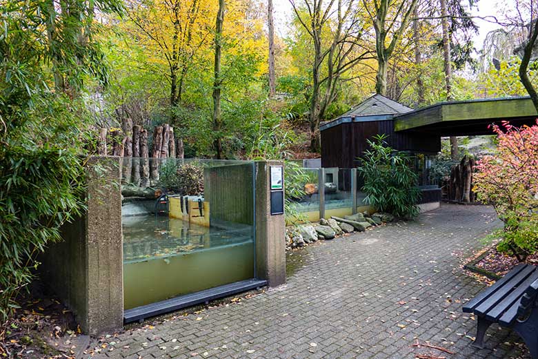 Zukünftige Anlage für einheimische Fischarten am 15. November 2022 im Zoologischen Garten Wuppertal