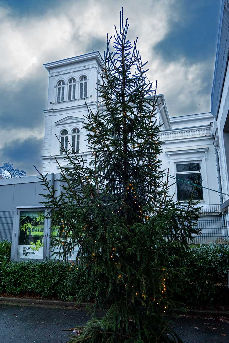 Weihnachtsbaum am 26. Dezember 2022 in der Nähe der Zoo-Eingangs im Grünen Zoo Wuppertal
