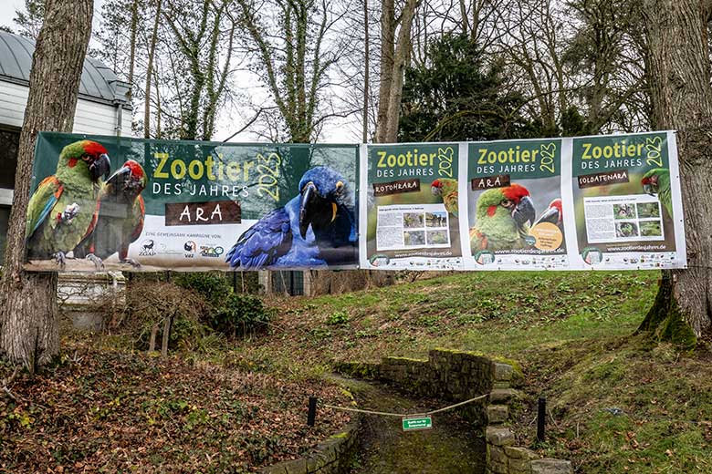 Zootier des Jahres 2023 Ara (Pressebild ZGAP)