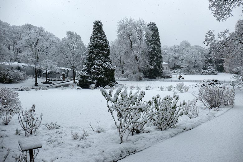 Blumenrondell im Schnee am 8. März 2023 im Weißen Zoo Wuppertal