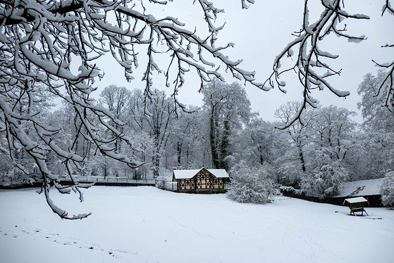 Patagonien-Anlage mit Schneedecke am 8. März 2023 im Wuppertaler Zoo