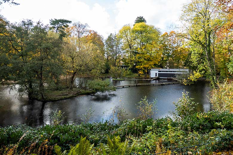 Großer Teich am 2. November 2023 im Grünen Zoo Wuppertal
