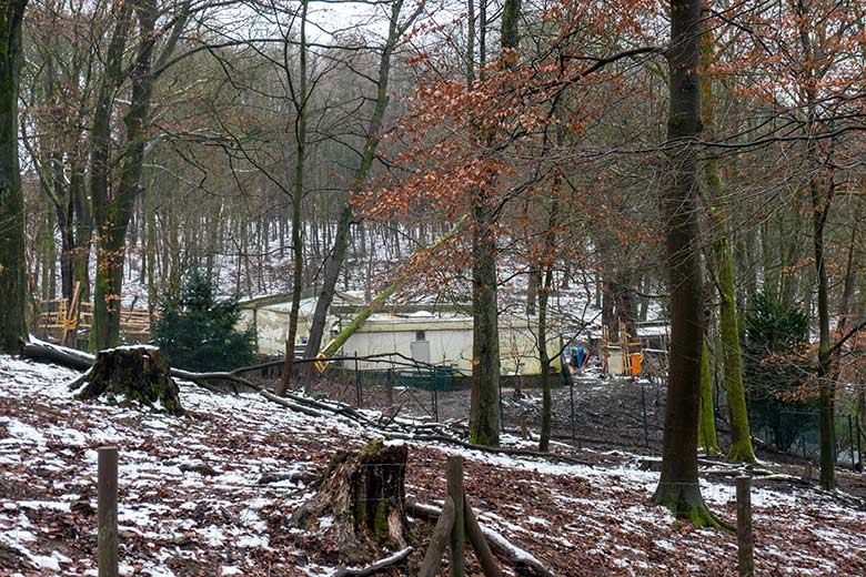 Blick auf das Gebäude des ehemaligen Max-Planck-Institut am 16. Januar 2025 im Zoo Wuppertal