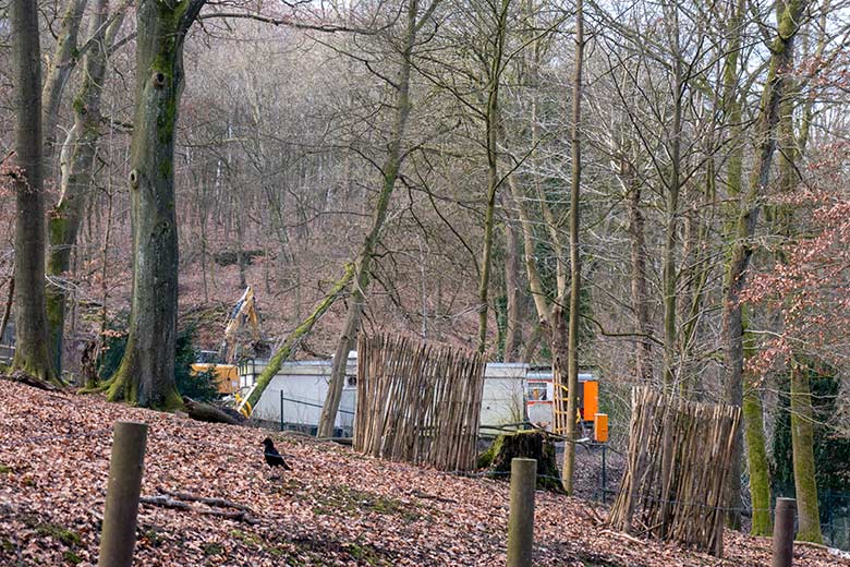 Blick auf das Gebäude des ehemaligen Max-Planck-Institut am 12. Februar 2025 im Grünen Zoo Wuppertal
