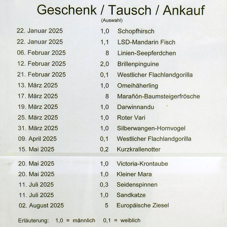 Aushang 'Geschenk / Tausch / Ankauf' am 24. Oktober 2024 in einem Schaukasten in der Nähe des Zoo-Eingangs im Wuppertaler Zoo