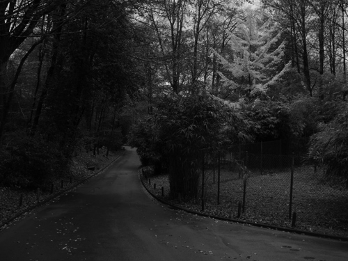 Besucher-Weg im November 2015 im Zoologischen Garten Wuppertal