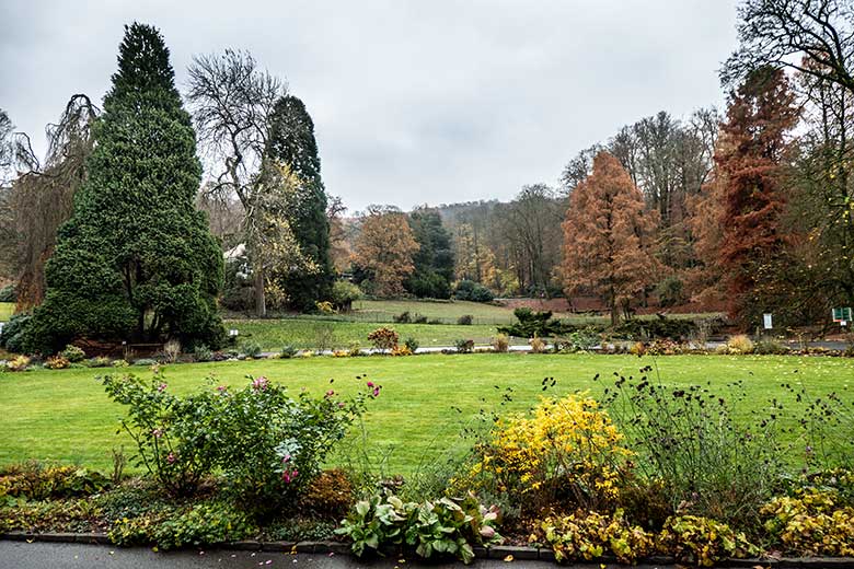 Blumen-Rondell am 20. November 2021 im Grünen Zoo Wuppertal