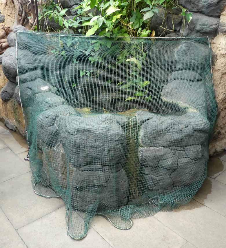 Mit einem Netz versperrtes Becken der Kangalfische am 7. April 2018 im Aquarium Grünen Zoo Wuppertal