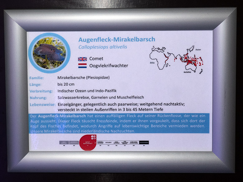 Ausschilderung Augenfleck-Mirakelbarsch am 26. Februar 2025 im Aquarium im Grünen Zoo Wuppertal