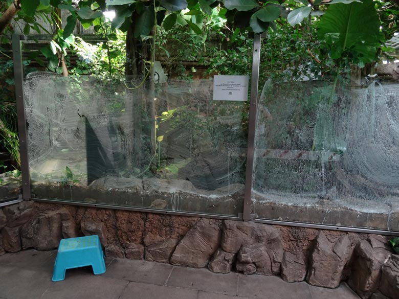 Aushang zum neuen Stumpfkrokodilweibchen am 9. September 2016 im Terrarium im Wuppertaler Zoo