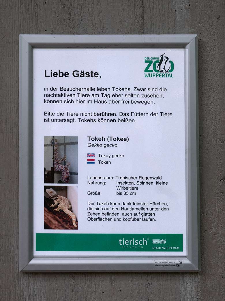 Ausschilderung der Tierart Tokeh am 29. August 2022 im Affen-Haus im Grünen Zoo Wuppertal