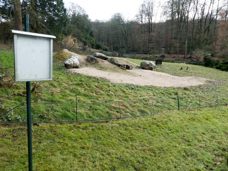 Leere Anlage für die Schwarzschwanz-Präriehunde am 2. Januar 2018 am Blumenrondell im Grünen Zoo Wuppertal