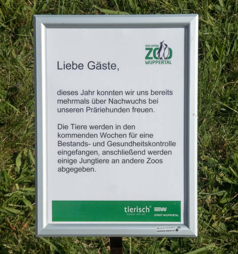 Information zu den Lebendfallen für die Schwarzschwanz-Präriehunde am 16. Juli 2018 im Grünen Zoo Wuppertal