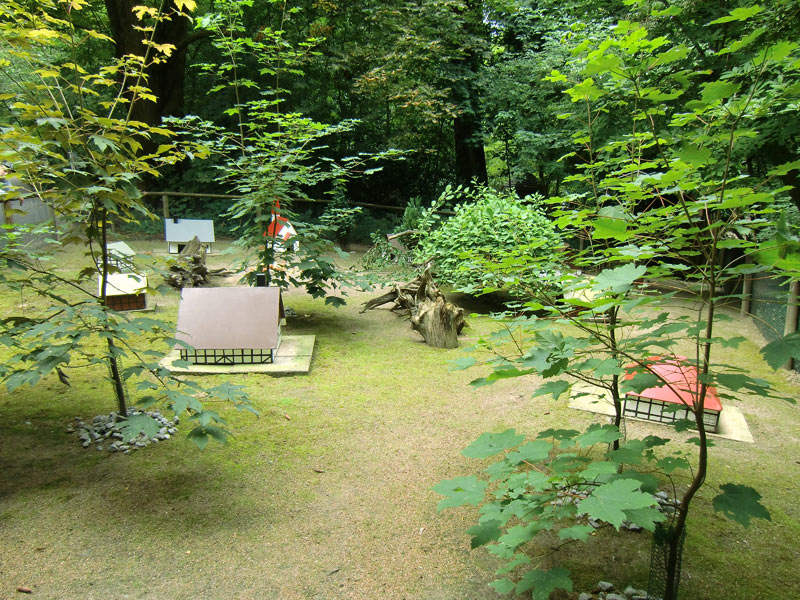 Haus für Hausmeerschweinchen im Zoo Wuppertal im Juli 2010