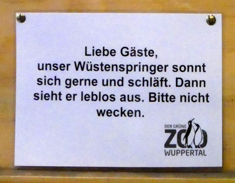 Aushang am Gehege der Kleinen Wüstenspringmaus am 9. August 2017 im Okapihaus im Grünen Zoo Wuppertal