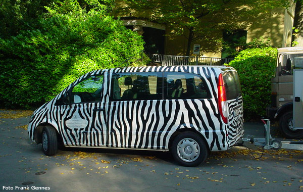 Okapi-Transport vom Wuppertaler Zoo zum Zoo Leipzig am 13. Oktober 2005 (Foto Frank Gennes)