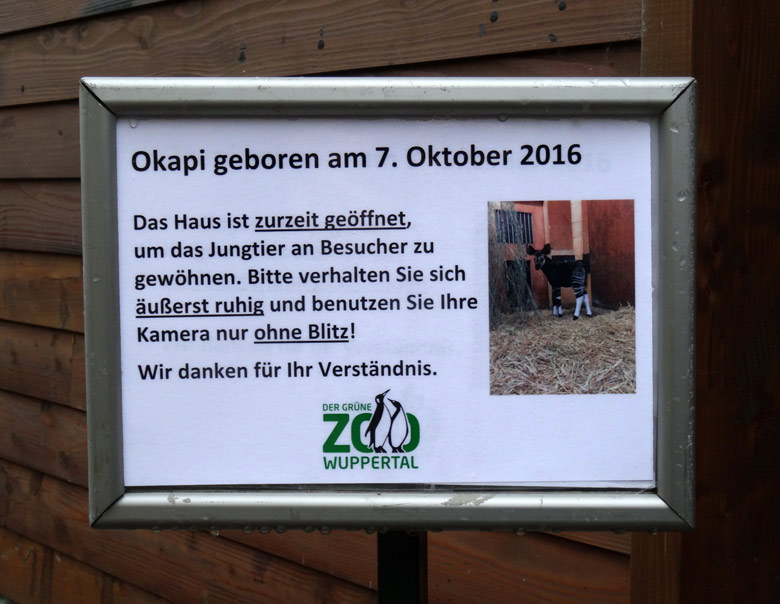 Informationsschild am 5. November 2016 vor dem Okapi-Haus im Zoologischen Garten der Stadt Wuppertal