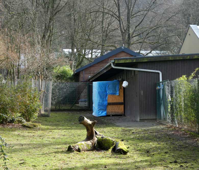 Bereitgestellte Transportkiste für das Okapi-Jungtier ELANI am 15. März 2018 auf der Außenanlage am Okapihaus im Grünen Zoo Wuppertal