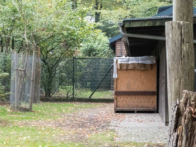 Transportbox für Okapi-Weibchen HAKIMA im Oktober 2018 auf der Außenanlage im Grünen Zoo Wuppertal