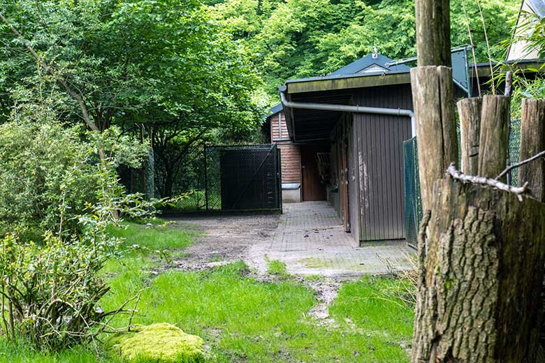 Okapi-Stallgebäude ohne Transport-Kiste für das weibliche Okapi-Jungtier NIARA am 3. Juni 2024 im Grünen Zoo Wuppertal