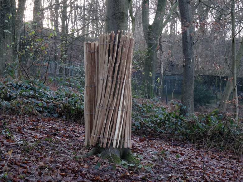 Prototyp für einen Baumschutz am 21. Dezember 2016 auf dem Gelände der neuen Milu-Anlage im Grünen Zoo Wuppertal