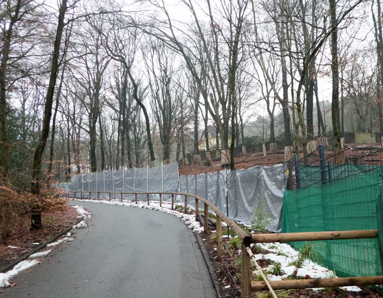 Sichtschutz an der Umzäunung a neuen Miluwald am 16. Dezember 2017 im Grünen Zoo Wuppertal