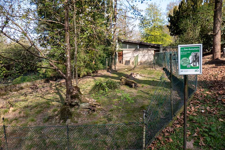 Nicht mehr mit Südpudus besetzte Pudu-Außenanlage am Überwinterungs-Haus am 11. April 2025 im Wuppertaler Zoo