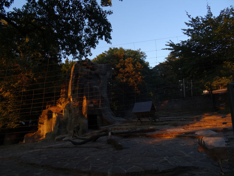 Steinbockfelsen am 9. September 2016 im sommerliche Abendlicht im Zoologischen Garten der Stadt Wuppertal